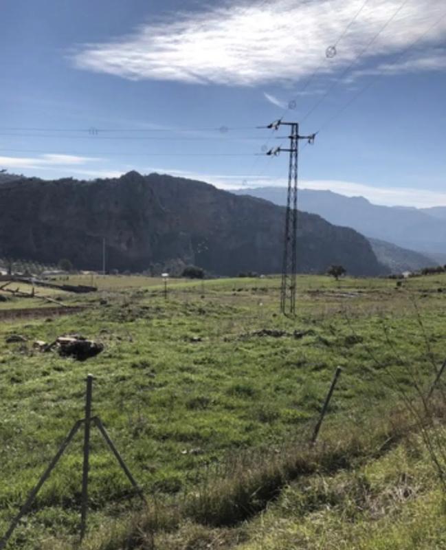 Terreno en venta en Montejaque, Malaga photo 5