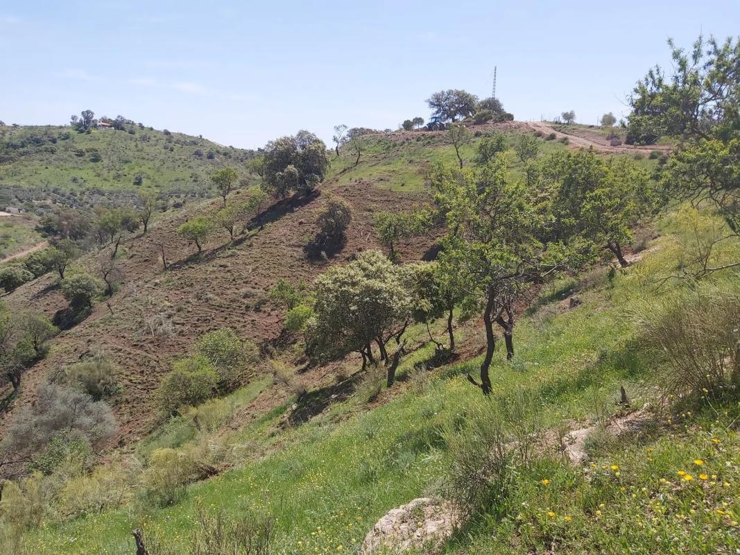 Terreno en venta en Alora, Malaga photo 2