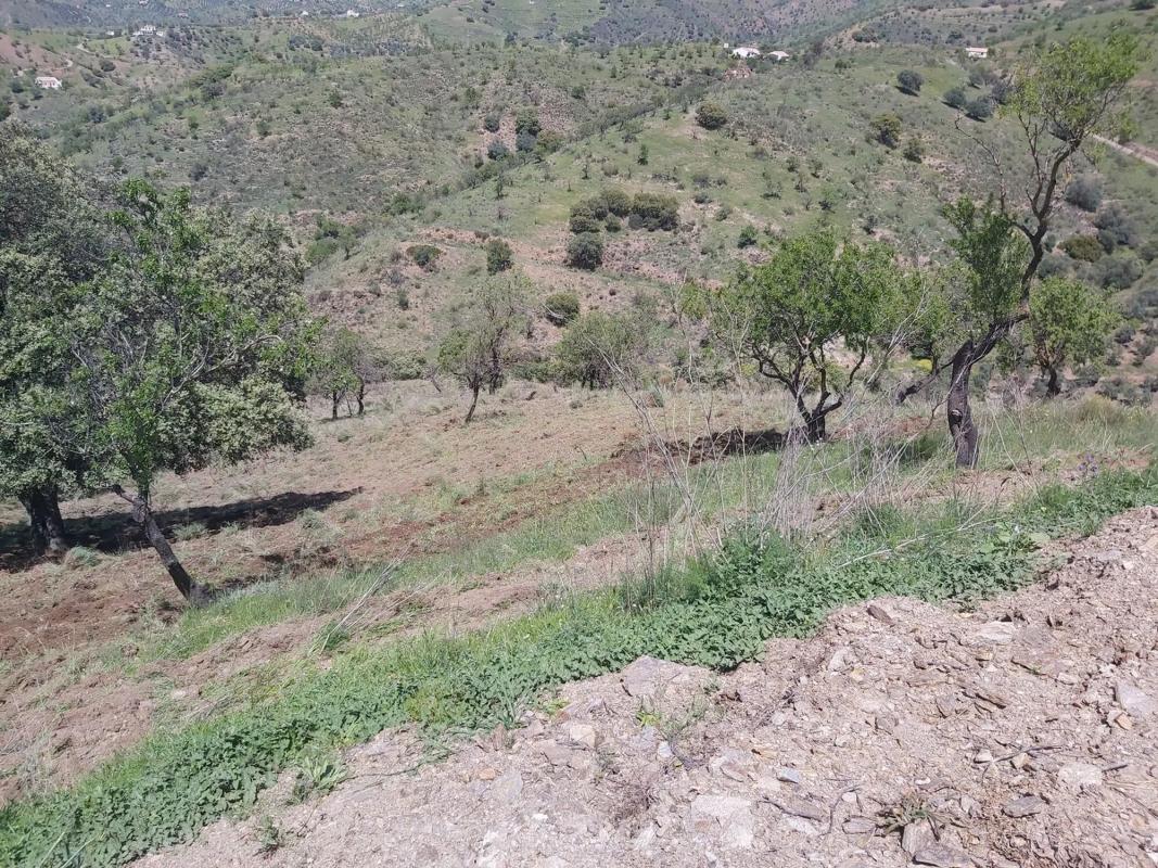 Terreno en venta en Alora, Malaga photo 4