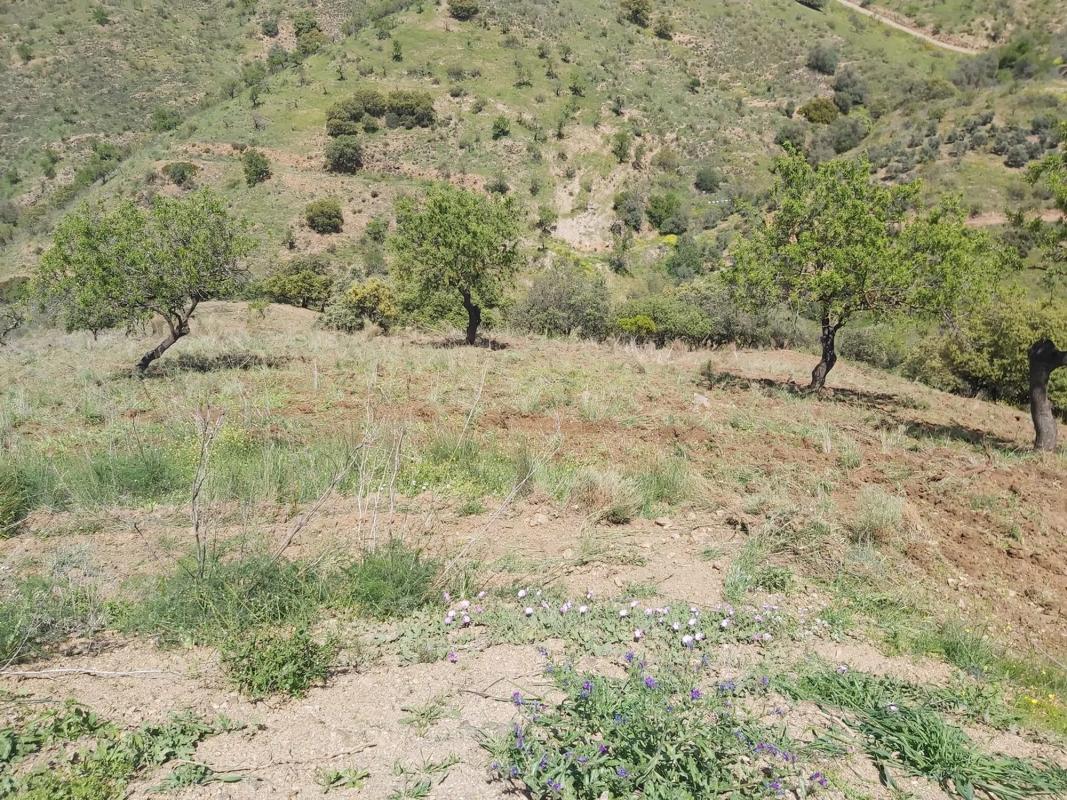 Terreno en venta en Alora, Malaga photo 5
