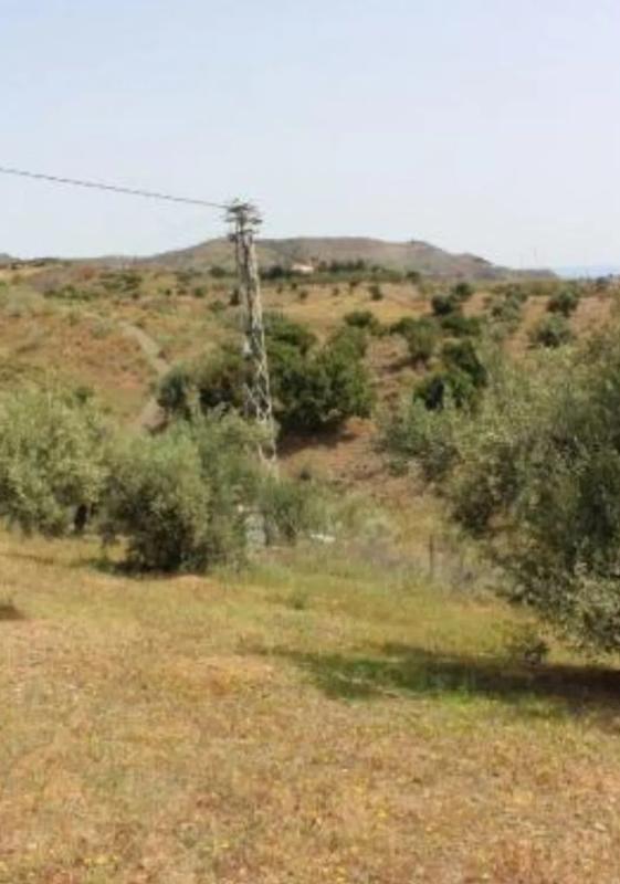 Участок земли на продажу в Бенахарафе, Малага photo 3