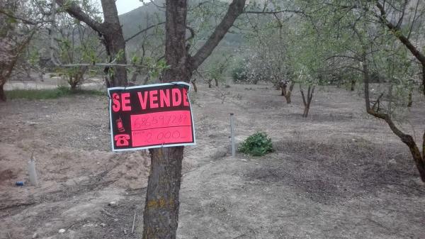 Terreno en carretera pantano s/n photo 1