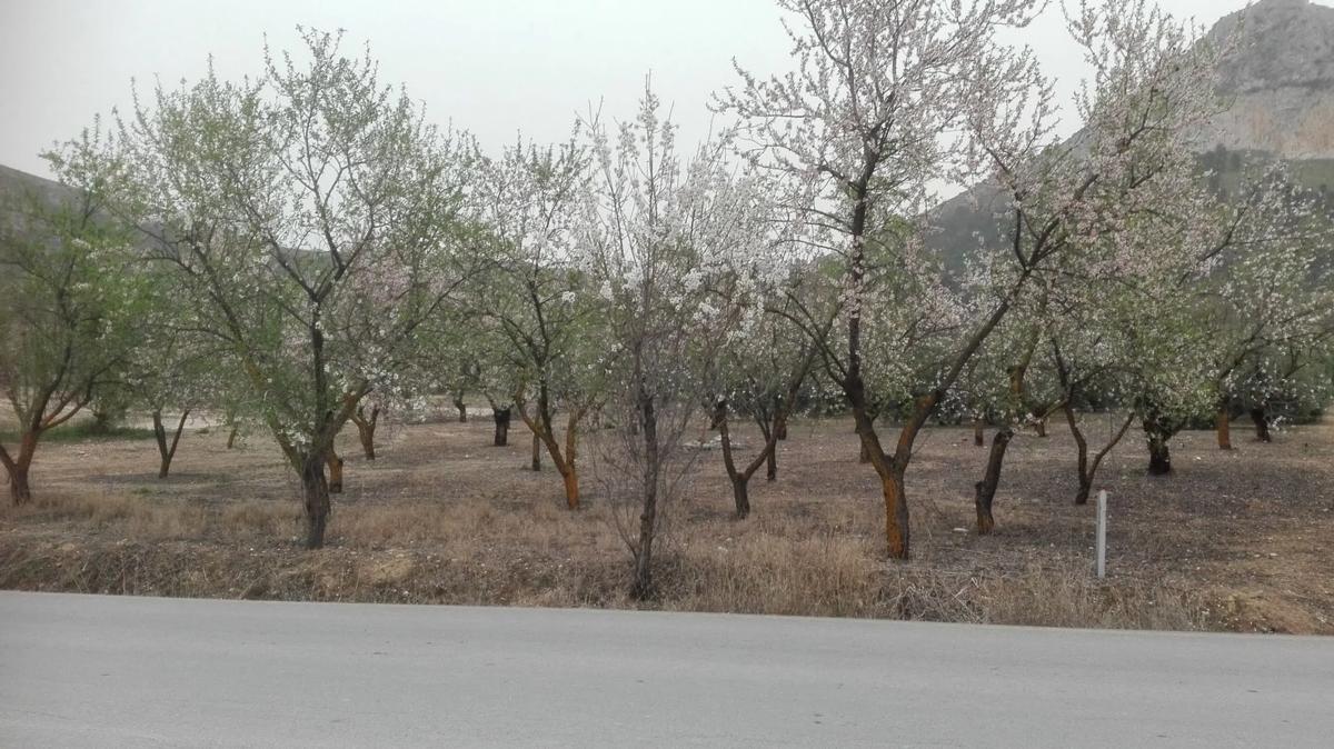 Участок земли на продажу в Куэвас-де-Сан-Марқос, Малага photo 2