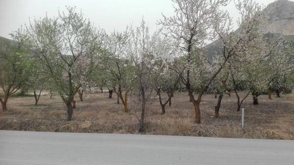 Terreno en carretera pantano s/n thumbnail 1