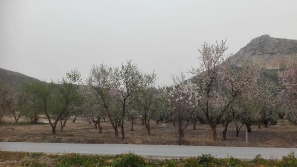 Terreno en carretera pantano s/n thumbnail 2