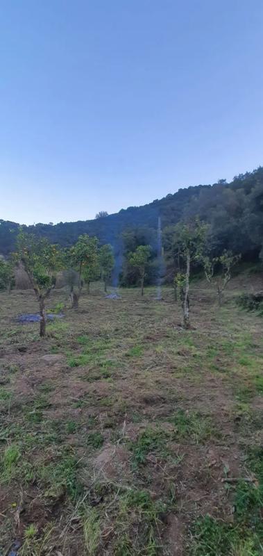 Land for sale in Estepona, Malaga photo 1