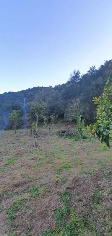 Land for sale in Estepona, Malaga photo 2