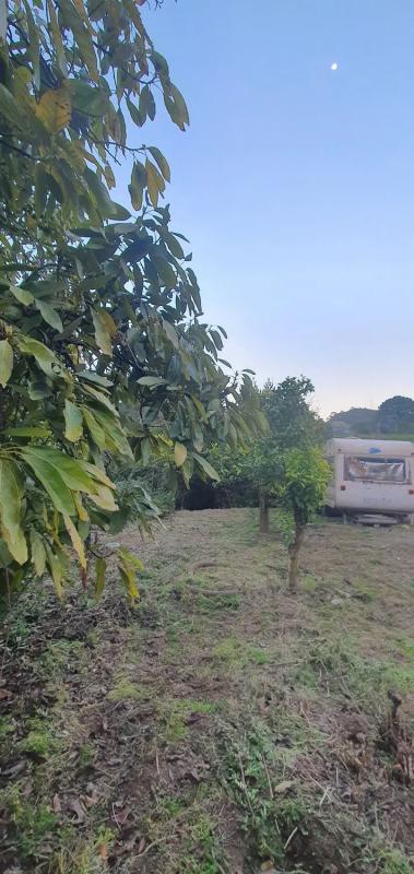 Land for sale in Estepona, Malaga photo 3