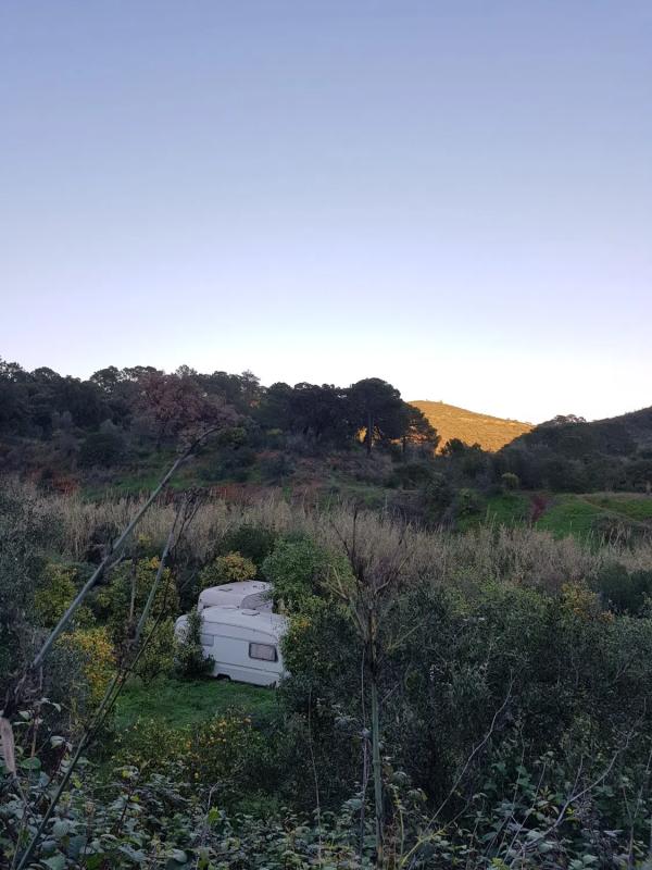 Land for sale in Estepona, Malaga photo 4