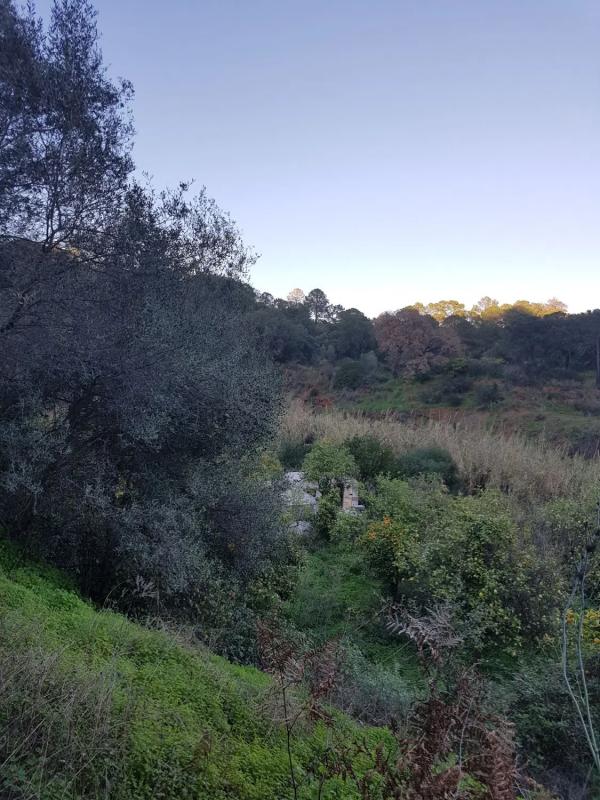 Land for sale in Estepona, Malaga photo 5