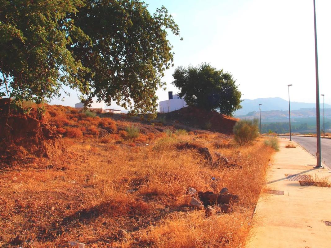 Działka na sprzedaż w Pizarra, Malaga photo 1