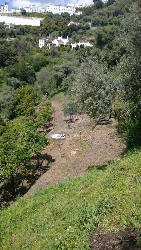 Terreno en venta en Genalguacil, Malaga photo 2