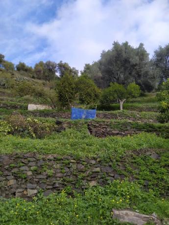 Terreno en calle la Lomilla, km 0 photo 3