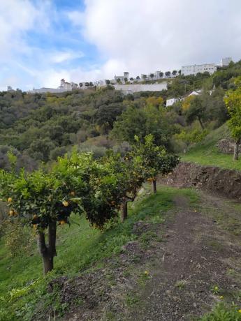 Terreno en calle la Lomilla, km 0 photo 4
