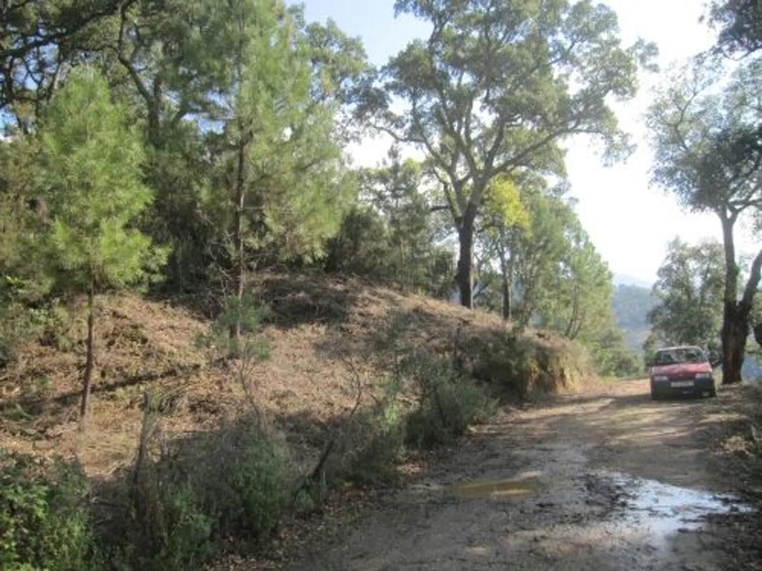Land for sale in Benarrabá, Malaga photo 2