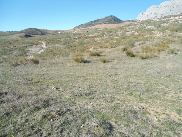 Terreno en A-4152, km 22 photo 3