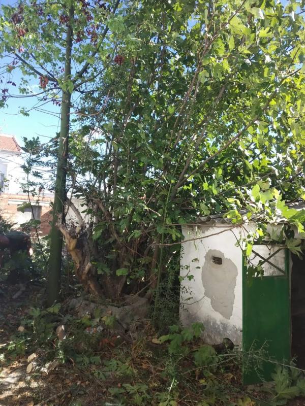 Участок земли на продажу в Вильянуэва-де-ла-Консепсьон, Малага photo 3