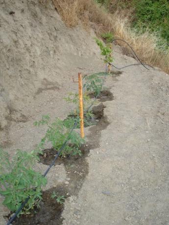 Terreno en viña de juanes s/n photo 1