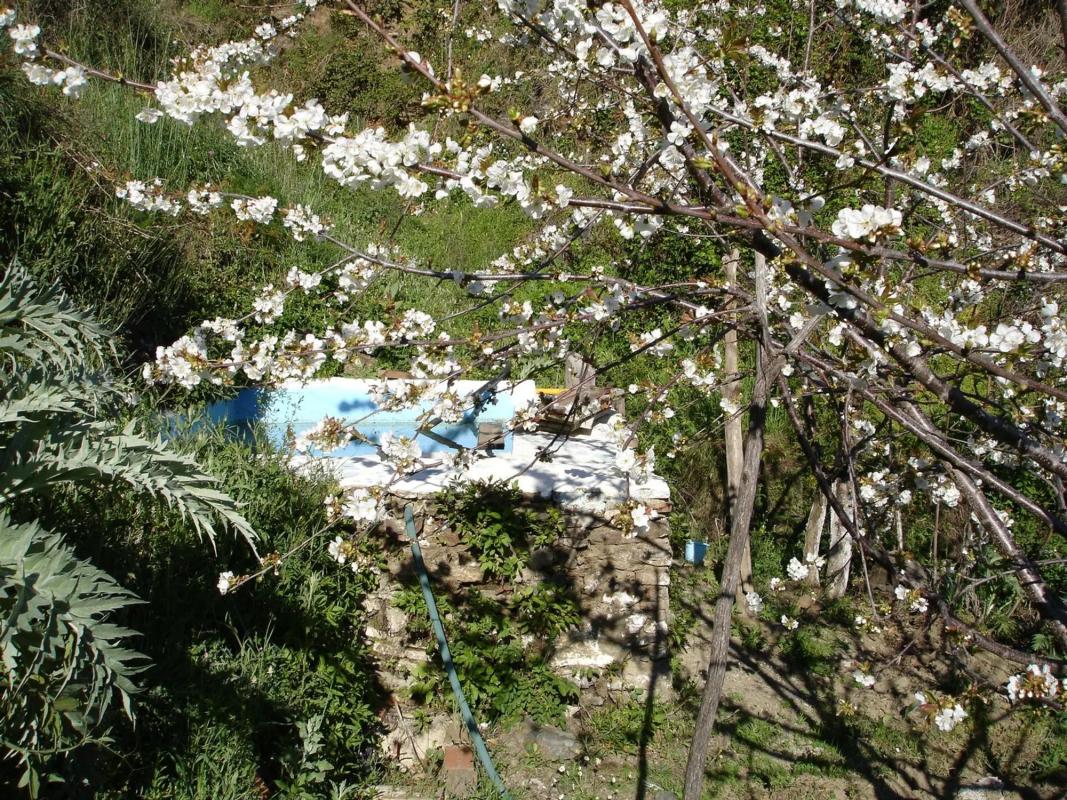 Terreno en venta en Cartajima, Malaga photo 3