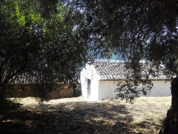 Terreno en campa solana, 14 photo 4