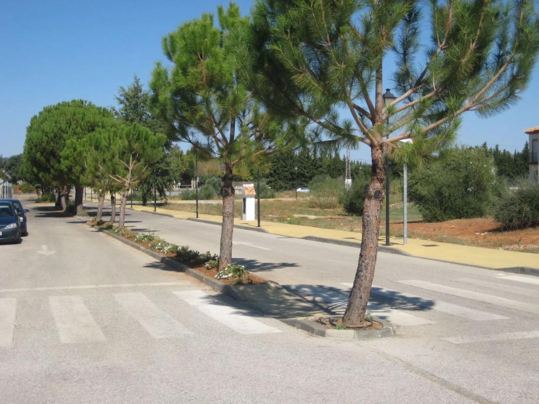 Terreno en venta en Ronda, Malaga photo 3