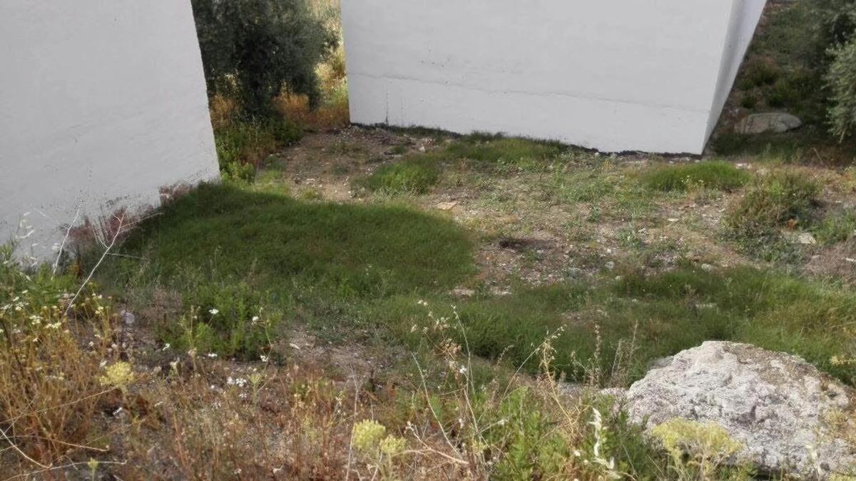 Land for sale in Casabermeja, Malaga photo 3