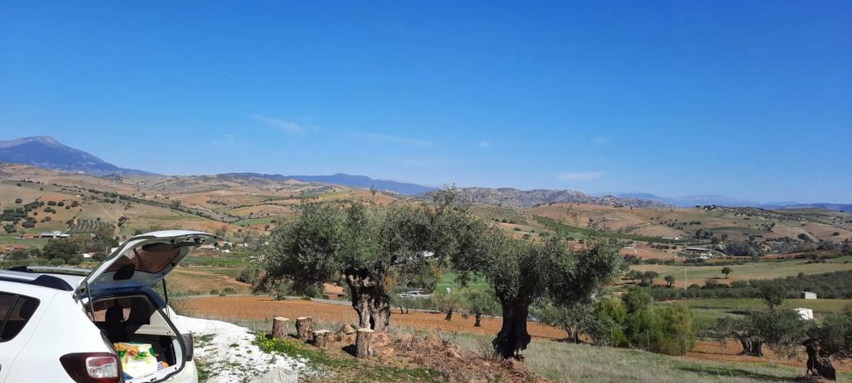 Terreno en venta en Coin, Malaga photo 4