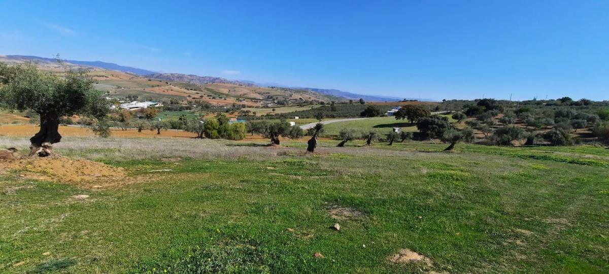 Terreno en venta en Coin, Malaga photo 5