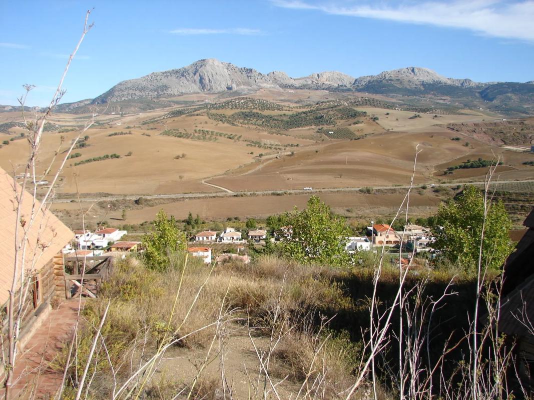 Land for sale in Casabermeja, Malaga photo 4