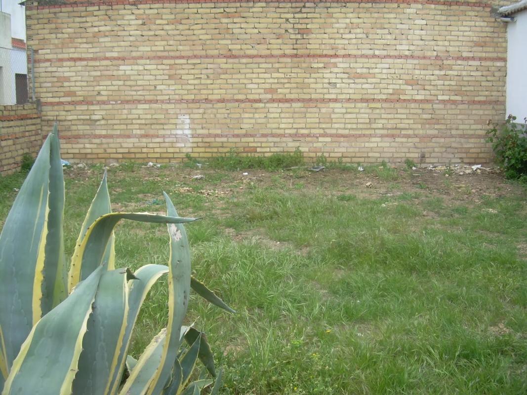 Land for sale in Cuevas del Becerro, Malaga photo 5