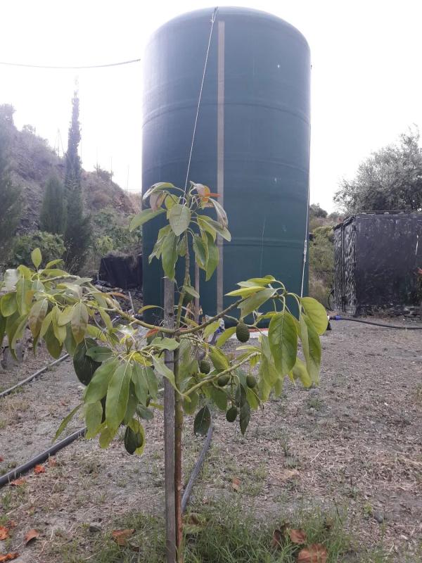 Участок земли на продажу в Велес-Малага, Малага photo 4