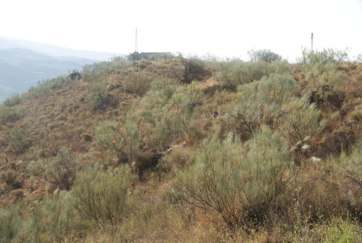 Terreno en venta en Vélez-Malaga, Malaga photo 2