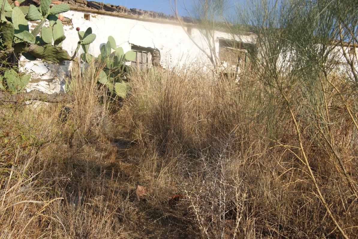 Terreno en venta en Vélez-Malaga, Malaga photo 3