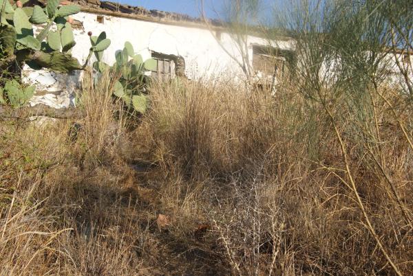 Terreno en Atalaya Baja s/n thumbnail 2
