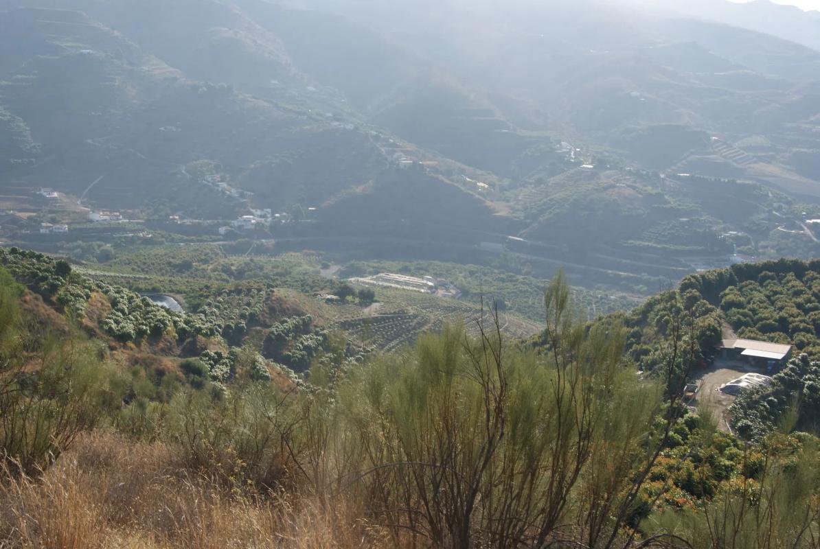 Terreno en venta en Vélez-Malaga, Malaga photo 4