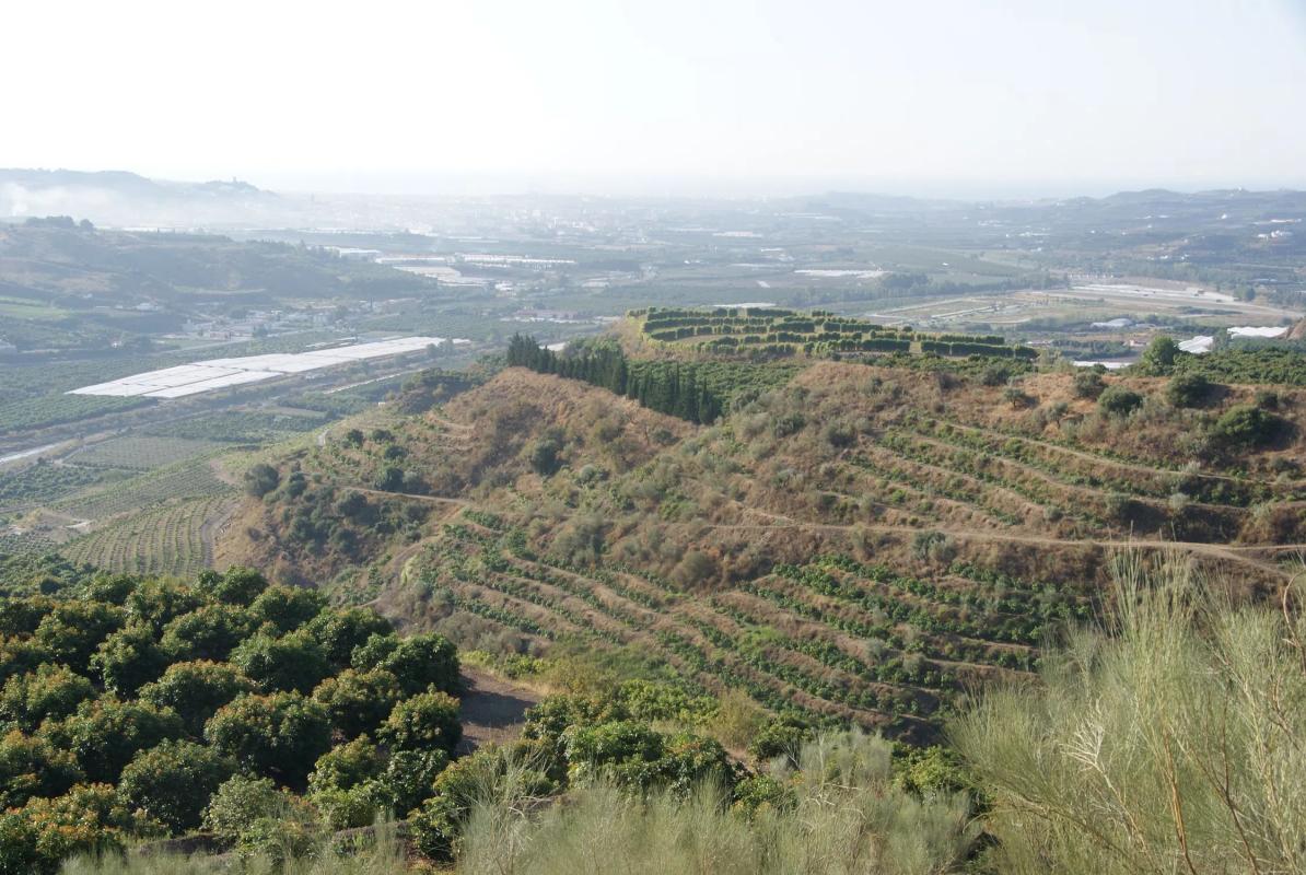 Terreno en venta en Vélez-Malaga, Malaga photo 5