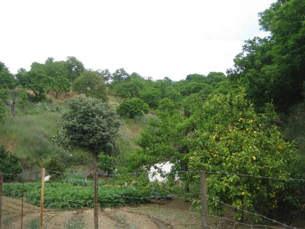 Terreno en venta en Farajan, Malaga photo 1