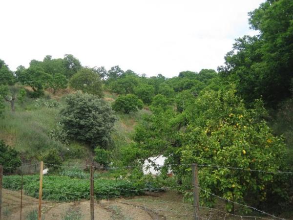 Terreno en calle Calvario, km 0 photo 1