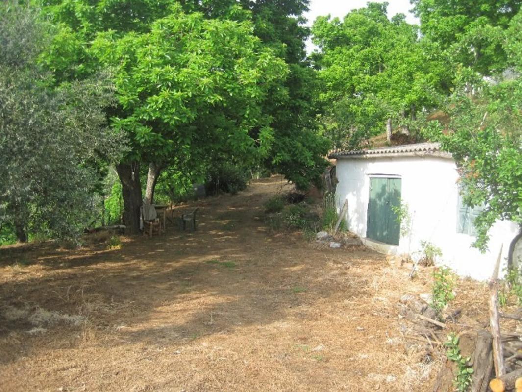Terreno en venta en Farajan, Malaga photo 4