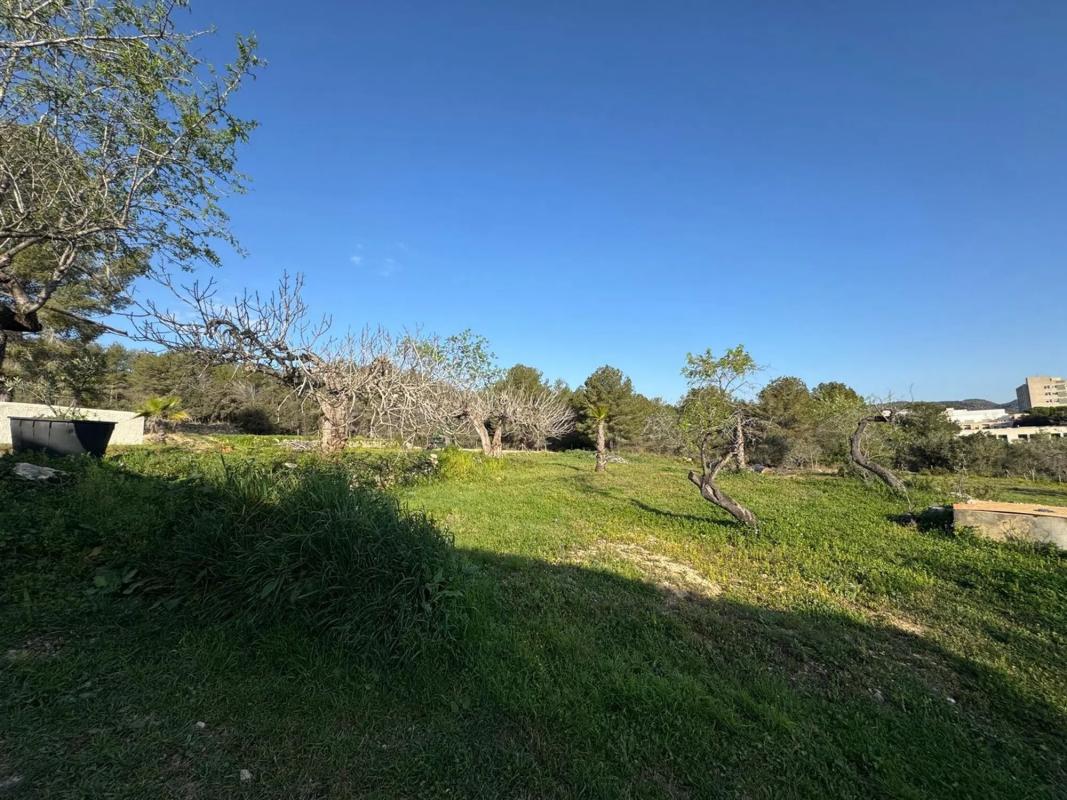 Sale of independent chalet in Calle Dos Diners s/n, Sant Pere de Ribes
 photo 2