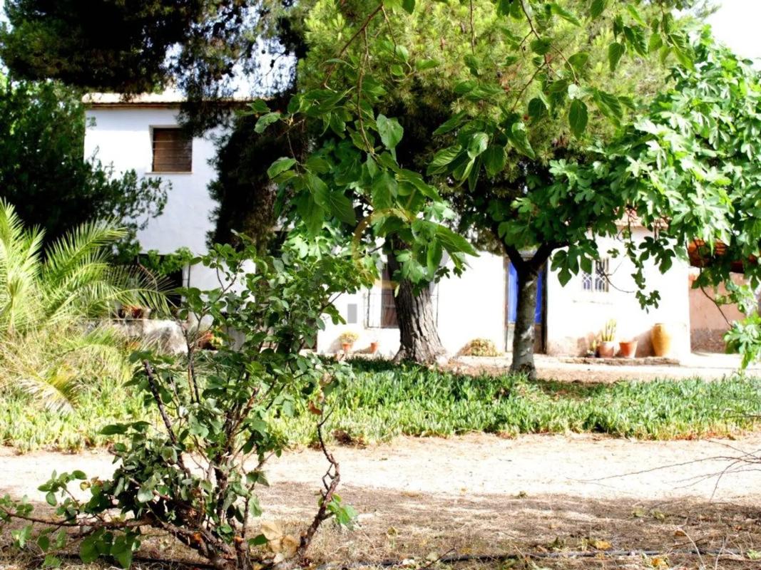 Properties for sale and rent in Spain photo 2