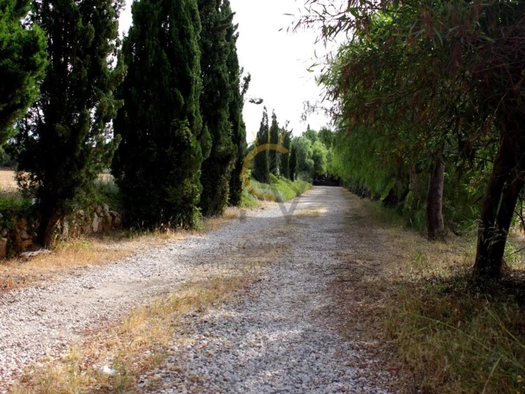 Properties for sale and rent in Spain photo 4