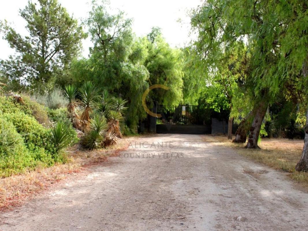 Properties for sale and rent in Spain photo 5