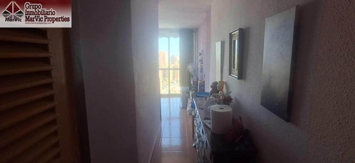 Sale of studio in Pueblo Levante, Benidorm photo 4