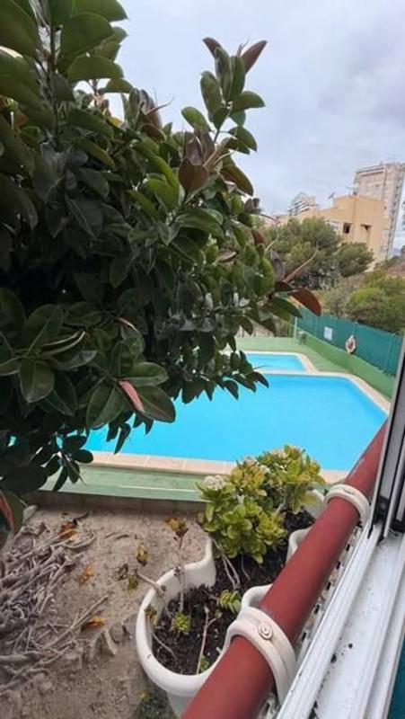 Propiedades en venta y alquiler en España photo 5