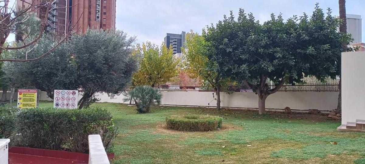 Sprzedaż mieszkania w Barrio Zona Rincón Bajo, Benidorm
photo 2