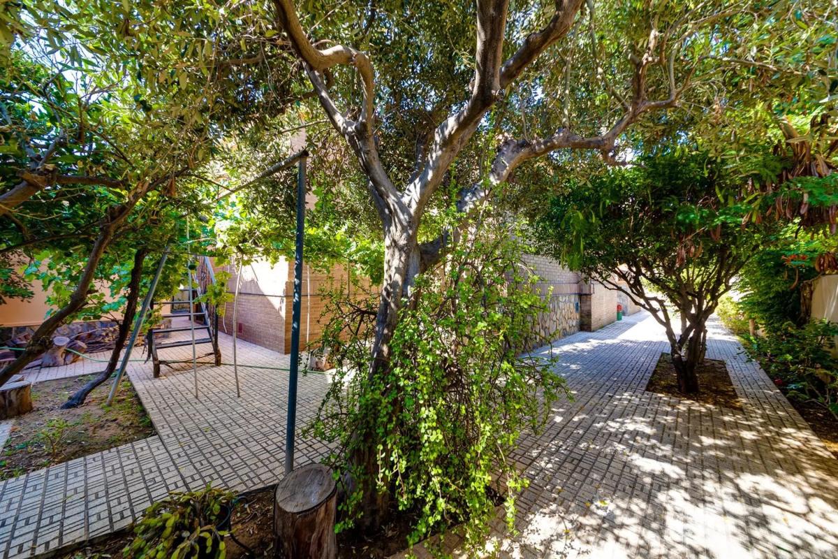 Properties for sale and rent in Spain photo 1
