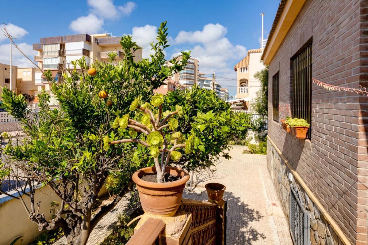 Properties for sale and rent in Spain photo 3