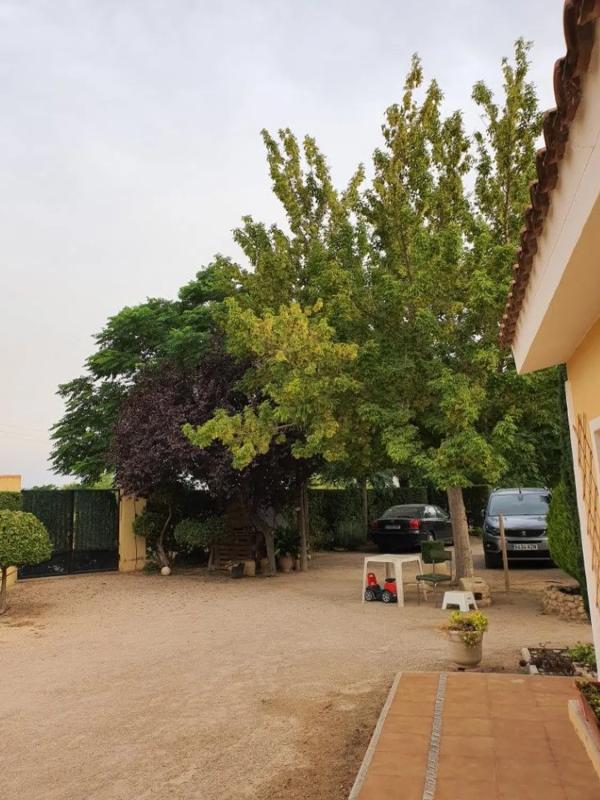 Properties for sale and rent in Spain photo 1