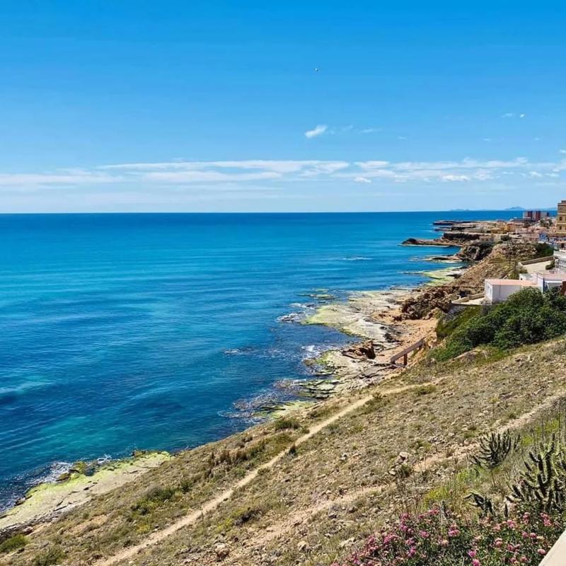 Properties for sale and rent in Spain photo 5